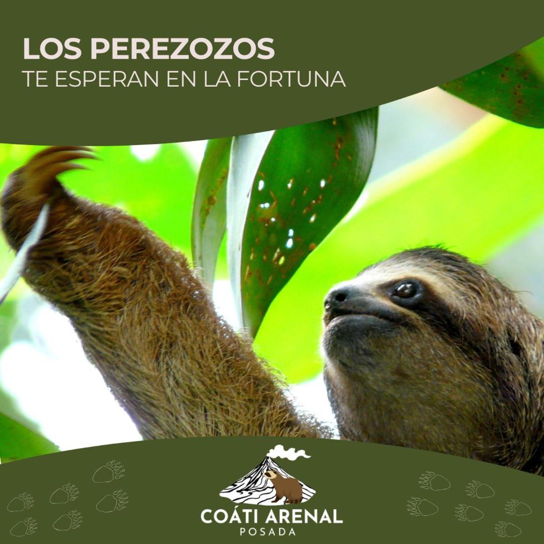 Coati Del Arenal Posada ラ・フォルトゥナ エクステリア 写真