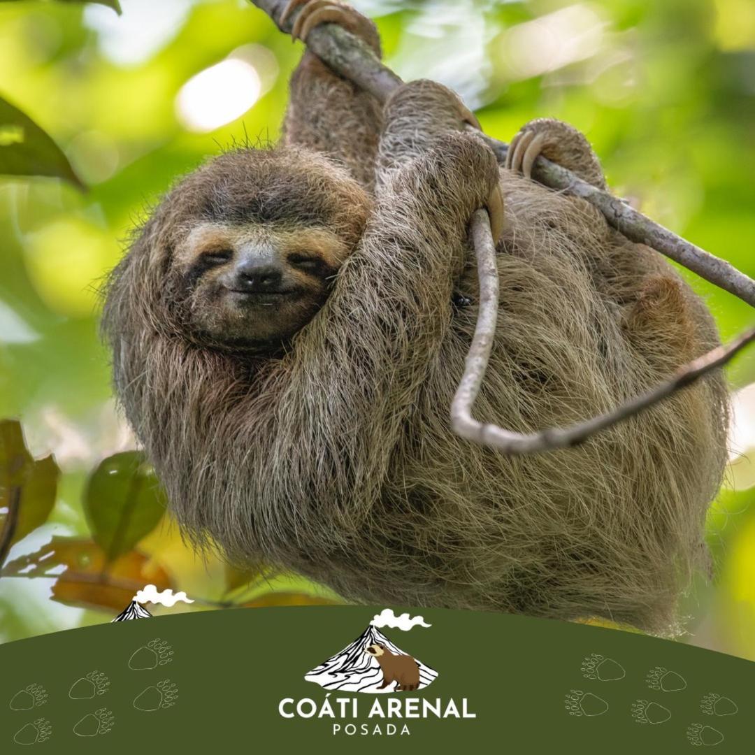 Coati Del Arenal Posada ラ・フォルトゥナ エクステリア 写真